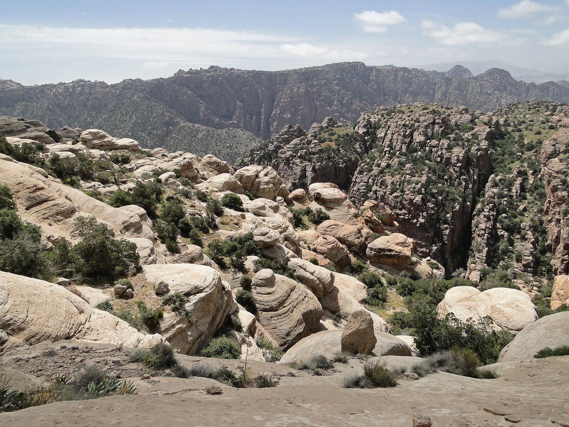 1-Day Car & Driver Hire from Petra